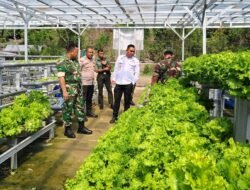 Dandim 1630 Mabar Apresiasi Pengembangan Pertanian Hidroponik Desa Batu Cermin