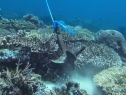 Jangkar Kapal Wisata Merusak Terumbu Karang di Sebayur Kecil Labuan Bajo