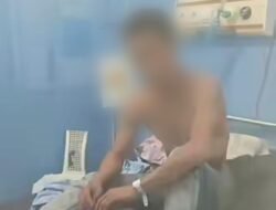 Positif Rabies, Pria di Manggarai Timur Tewas Usai Digigit Anjing Peliharaan Sendiri