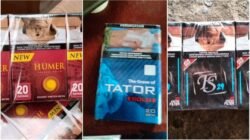 Peredaran Rokok Ilegal Masih Marak di Manggarai Raya