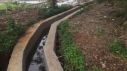 Proyek Irigasi di Macang Pacar Diduga Kerja Asal Jadi, Warga Temukan Kejanggalan 