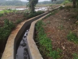 Proyek Irigasi di Macang Pacar Diduga Kerja Asal Jadi, Warga Temukan Kejanggalan 